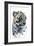 Arabian Leopard, 2008-Mark Adlington-Framed Giclee Print