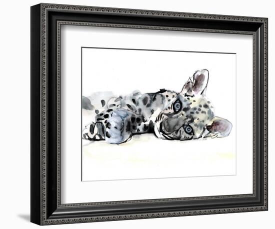 Arabian Leopard Cub, 2008-Mark Adlington-Framed Giclee Print