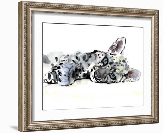 Arabian Leopard Cub, 2008-Mark Adlington-Framed Giclee Print