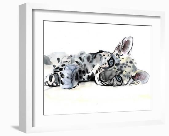 Arabian Leopard Cub, 2008-Mark Adlington-Framed Giclee Print