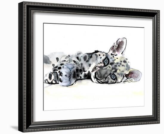 Arabian Leopard Cub, 2008-Mark Adlington-Framed Giclee Print