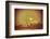 Arabian Nights-Viviane Fedieu Daniel-Framed Photographic Print