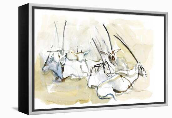 Arabian Oryx, 2010-Mark Adlington-Framed Premier Image Canvas