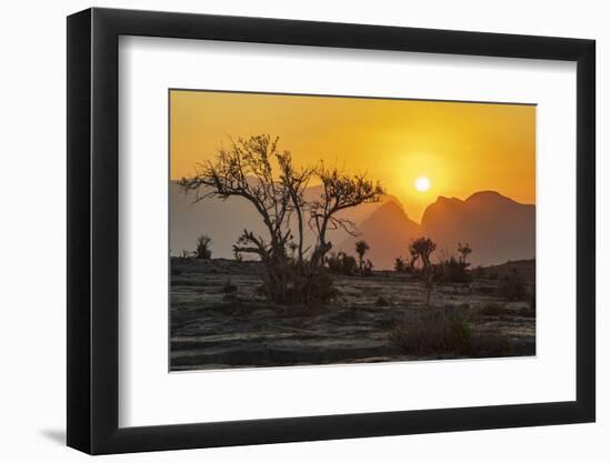 Arabian Peninsula, Oman, Ad Dakhiliyah, Al Hamra.-Emily Wilson-Framed Photographic Print