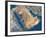 Arabian Peninsula, Satellite Image-null-Framed Photographic Print