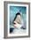 Arabian Picasso Triggerfish-Georgette Douwma-Framed Photographic Print