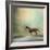 Arabian Run-Jai Johnson-Framed Giclee Print