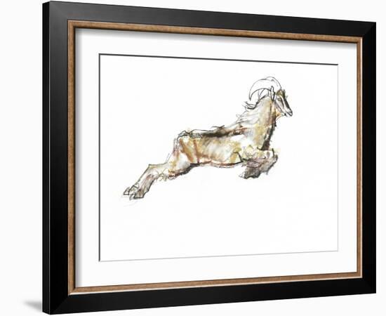 Arabian Tahr, 2009-Mark Adlington-Framed Giclee Print