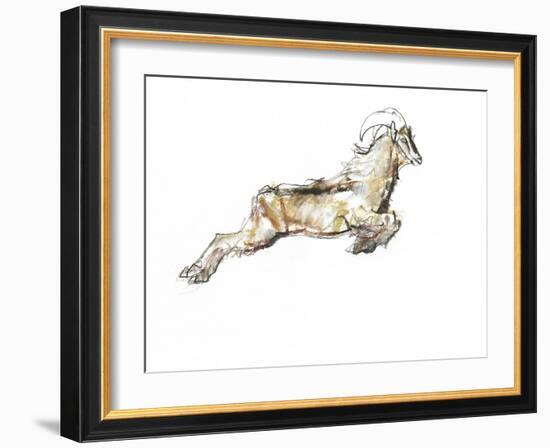 Arabian Tahr, 2009-Mark Adlington-Framed Giclee Print