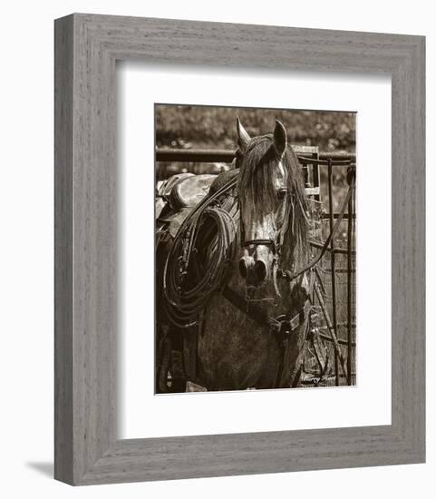 Arabian Working Cow Horse-Barry Hart-Framed Art Print