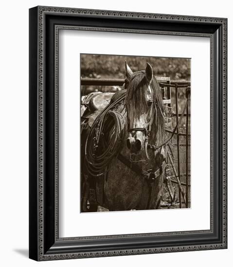 Arabian Working Cow Horse-Barry Hart-Framed Art Print