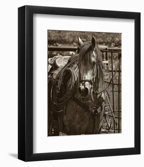 Arabian Working Cow Horse-Barry Hart-Framed Art Print