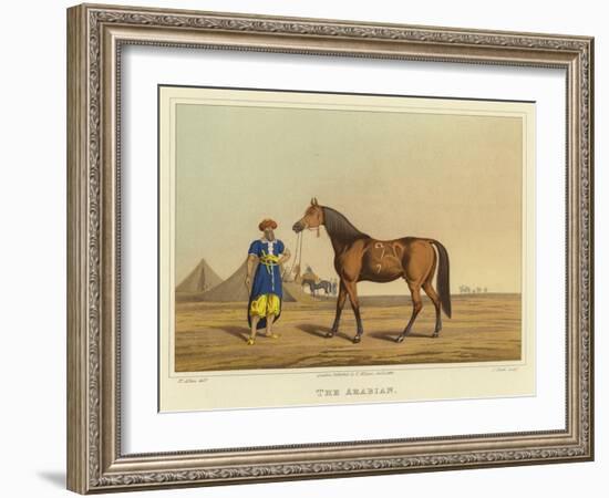 Arabian-Henry Thomas Alken-Framed Giclee Print