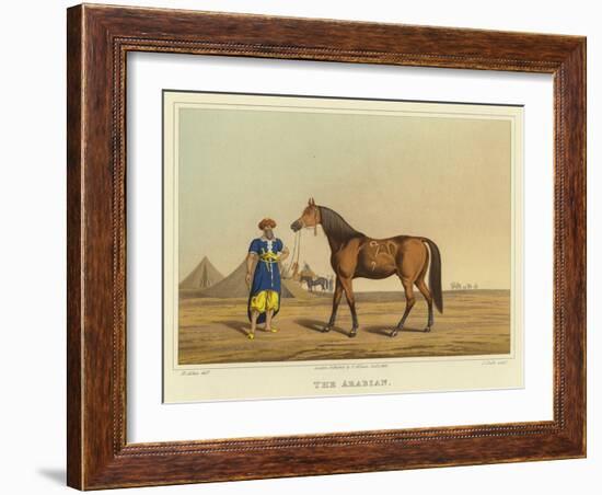 Arabian-Henry Thomas Alken-Framed Giclee Print