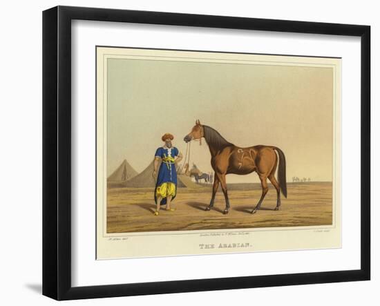 Arabian-Henry Thomas Alken-Framed Giclee Print
