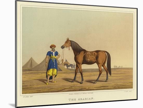 Arabian-Henry Thomas Alken-Mounted Giclee Print