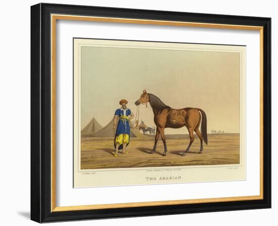 Arabian-Henry Thomas Alken-Framed Giclee Print