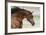 Arabians 006-Bob Langrish-Framed Photographic Print