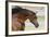 Arabians 006-Bob Langrish-Framed Photographic Print