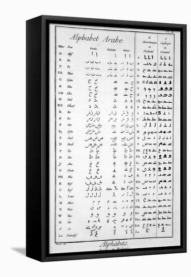 Arabic Alphabet-null-Framed Premier Image Canvas