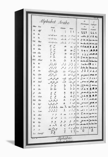 Arabic Alphabet-null-Framed Premier Image Canvas