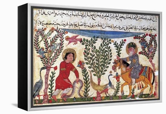 Arabic Physician-Pseudo-Galen-Framed Premier Image Canvas