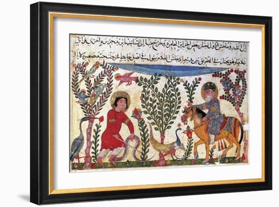 Arabic Physician-Pseudo-Galen-Framed Giclee Print