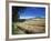 Arable Crops by the South Downs Way, Near Buriton, Hampshire, England, United Kingdom, Europe-Rob Cousins-Framed Photographic Print