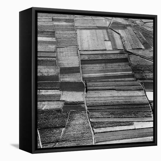 Arable Land-Evans-Framed Premier Image Canvas
