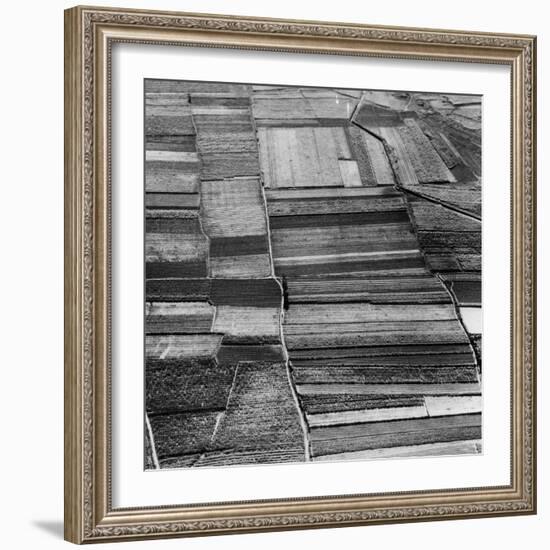 Arable Land-Evans-Framed Photographic Print