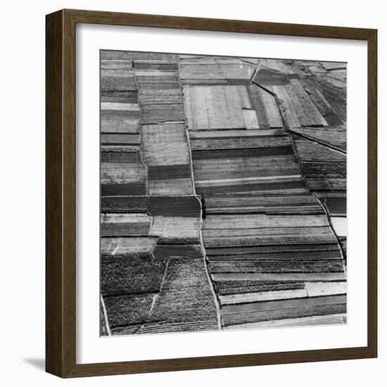 Arable Land-Evans-Framed Photographic Print