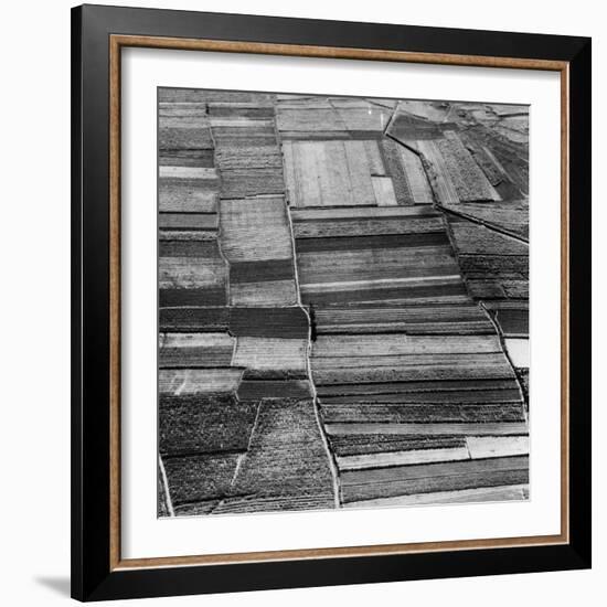 Arable Land-Evans-Framed Photographic Print