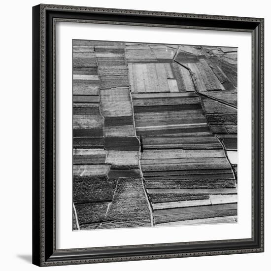 Arable Land-Evans-Framed Photographic Print