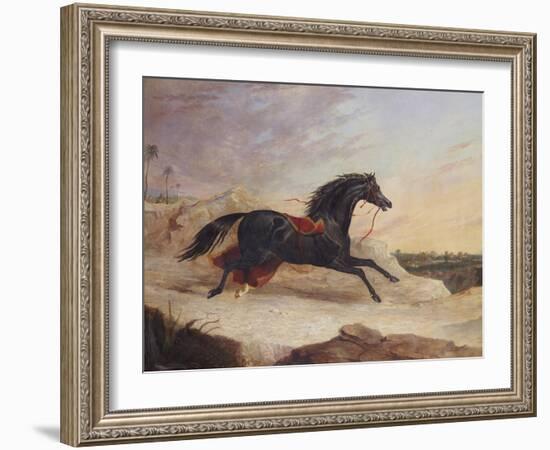 Arabs Chasing a Loose Arab Horse in an Eastern Landscape-John Frederick Herring I-Framed Giclee Print