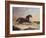 Arabs Chasing a Loose Arab Horse in an Eastern Landscape-John Frederick Herring I-Framed Giclee Print