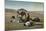 Arabs Praying in the Desert-null-Mounted Photographic Print