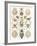 Arachnid Organisms, Artwork-null-Framed Photographic Print