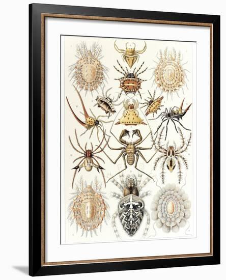 Arachnid Organisms, Artwork-null-Framed Photographic Print