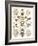 Arachnid Organisms, Artwork-null-Framed Photographic Print