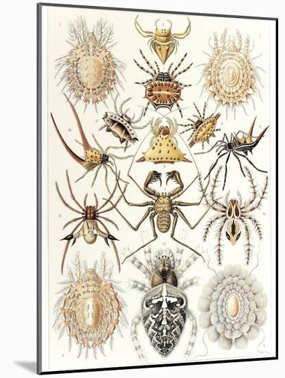 Arachnid Organisms, Artwork-null-Mounted Photographic Print