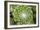 Arachnoideum Succulent I-Erin Berzel-Framed Photographic Print