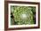 Arachnoideum Succulent I-Erin Berzel-Framed Photographic Print