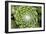 Arachnoideum Succulent I-Erin Berzel-Framed Photographic Print