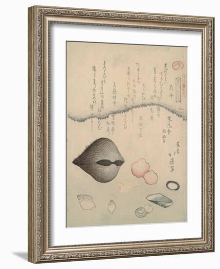 Aragai, Masu?gai, Anagai: Clams-Totoya Hokkei-Framed Giclee Print