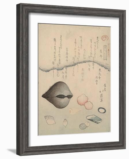 Aragai, Masu?gai, Anagai: Clams-Totoya Hokkei-Framed Giclee Print