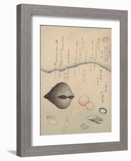 Aragai, Masu?gai, Anagai: Clams-Totoya Hokkei-Framed Giclee Print