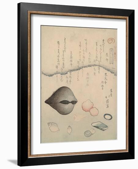 Aragai, Masu?gai, Anagai: Clams-Totoya Hokkei-Framed Giclee Print