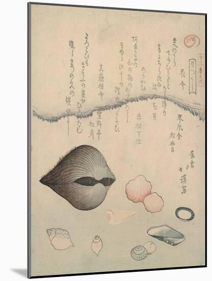 Aragai, Masu?gai, Anagai: Clams-Totoya Hokkei-Mounted Giclee Print