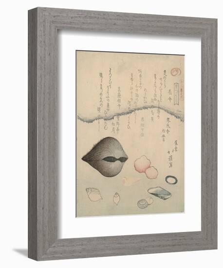 Aragai, Masu?gai, Anagai: Clams-Totoya Hokkei-Framed Giclee Print