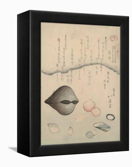 Aragai, Masu?gai, Anagai: Clams-Totoya Hokkei-Framed Premier Image Canvas